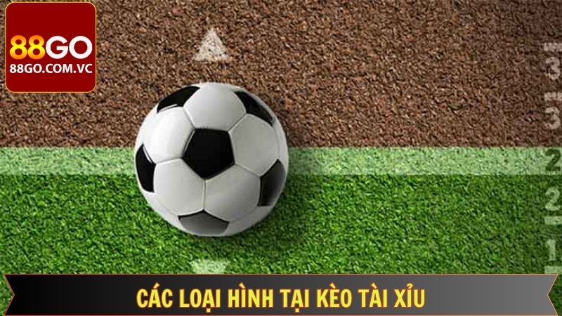 Bí Kíp Bắt Kèo Tài Xỉu Dễ Ăn Nhất Tại 88GO Cho Người Mới  4 Những loại hình kèo cược Tài Xỉu phổ biến nhất hiện nay