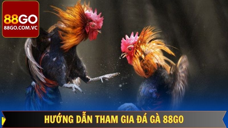 Đá Gà 88GO - Cập Nhật Liên Tục Các Trận Gà Nảy Lửa  3 Hướng dẫn tân thủ tham gia cá cược Đá gà 88GO