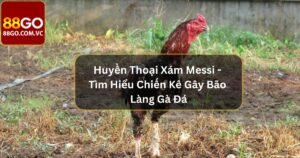 Huyền Thoại Xám Messi - Tìm Hiểu Chiến Kê Gây Bão Làng Gà Đá 40 Huyền Thoại Xám Messi - Tìm Hiểu Chiến Kê Gây Bão Làng Gà Đá