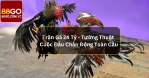 Trận Gà 24 Tỷ - Tường Thuật Cuộc Đấu Chấn Động Toàn Cầu 39 Trận Gà 24 Tỷ - Tường Thuật Cuộc Đấu Chấn Động Toàn Cầu
